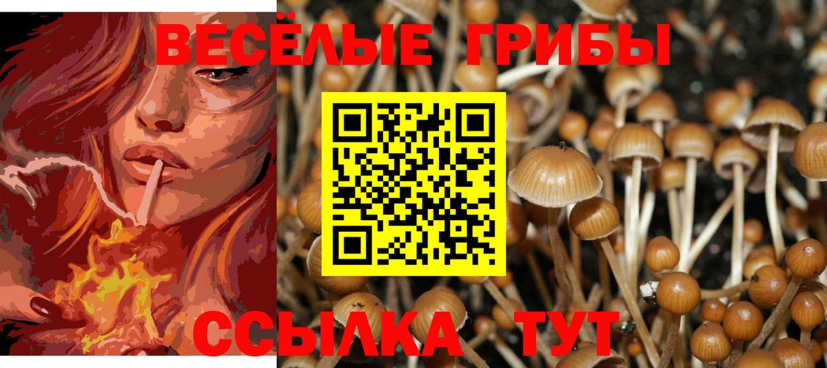 Дзержинск  Галлюциногенные грибы мицелий  Галлюциногенные грибы GOLDEN TEACHER  Вход с VPN 